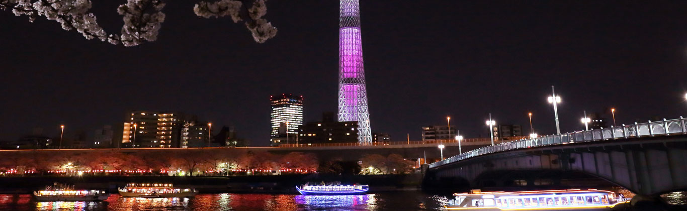 桜と紫色にライトアップされたスカイツリーを背に、隅田川を行き交う屋形船の夜景